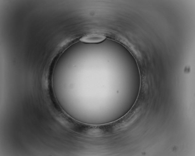 X0000103270203200809051515