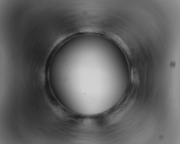 X0000103270204200809051515