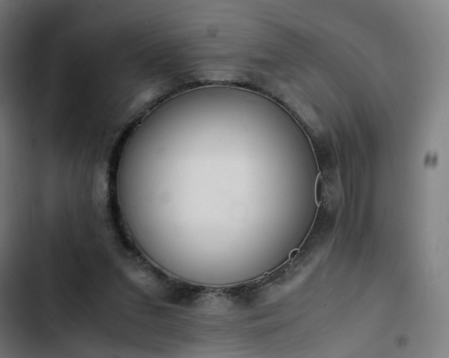 X0000103270207200809051515