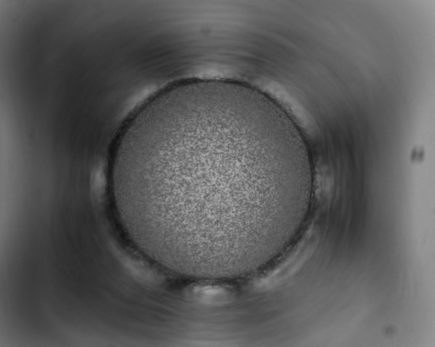 X0000103270208200809051515