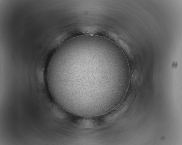 X0000103270209200809051515