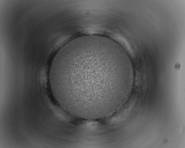 X0000103270210200809051515