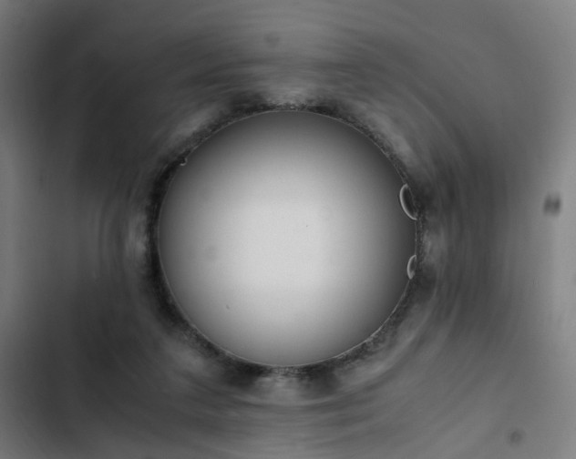 X0000103270211200809051515