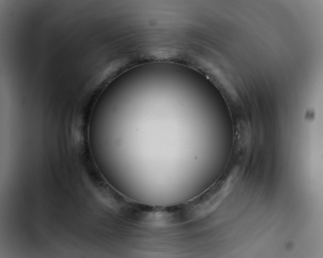 X0000103270212200809051515