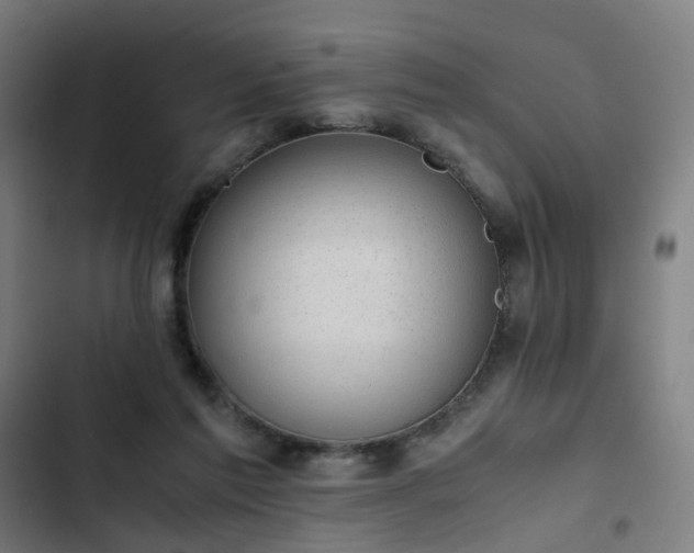 X0000103270213200809051515