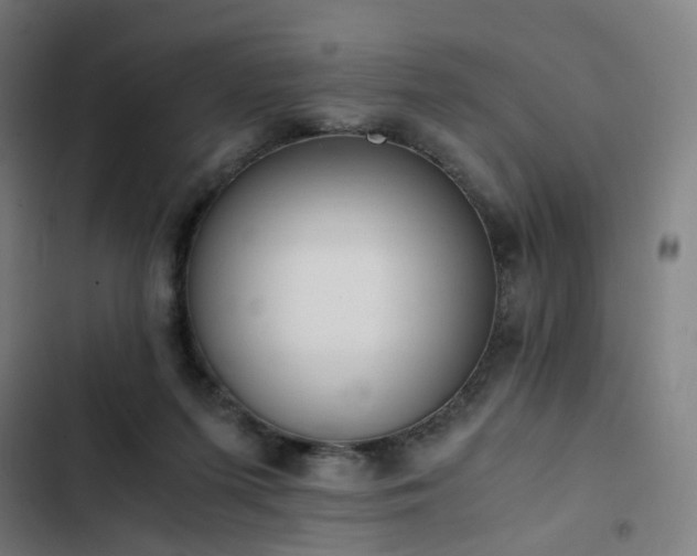 X0000103270215200809051515
