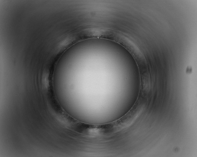 X0000103270216200809051515