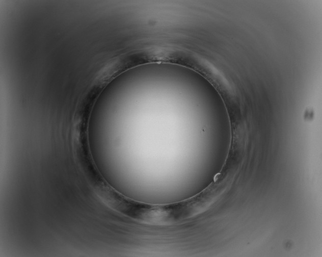 X0000103270217200809051515
