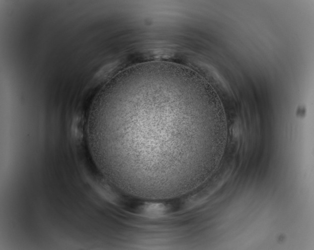 X0000103270218200809051515