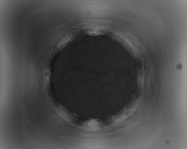 X0000103270219200809051515