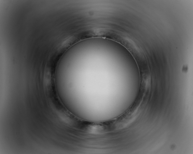 X0000103270220200809051515