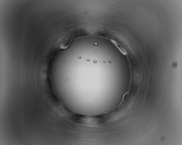 X0000103270221200809051515