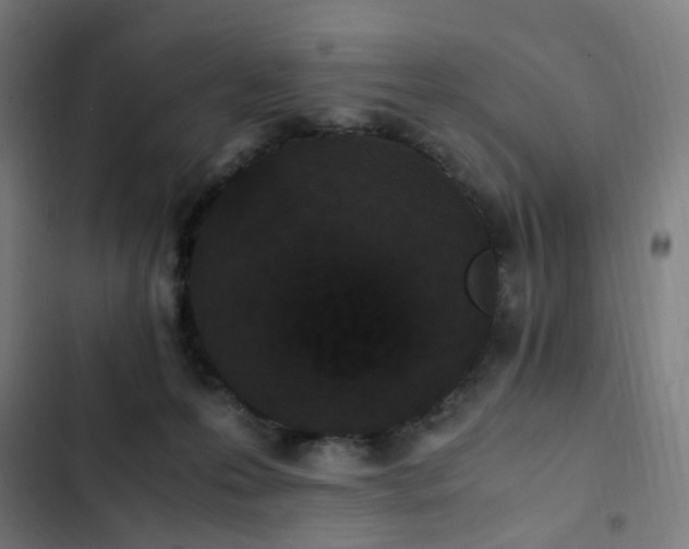 X0000103270223200809051515