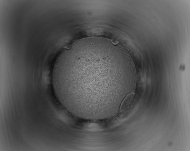X0000103270224200809051515