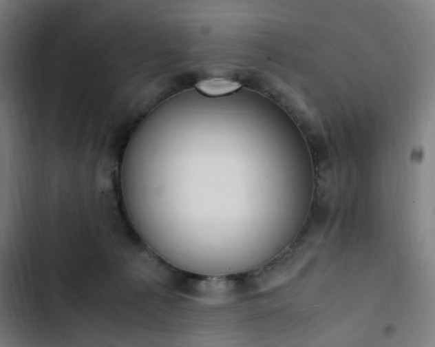 X0000103270225200809051515