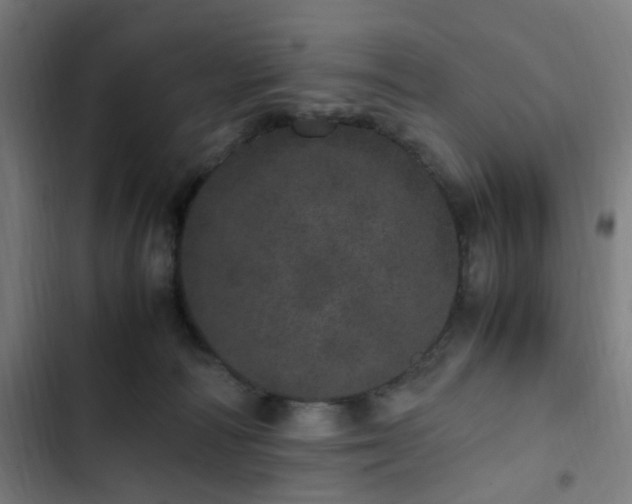 X0000103270226200809051515