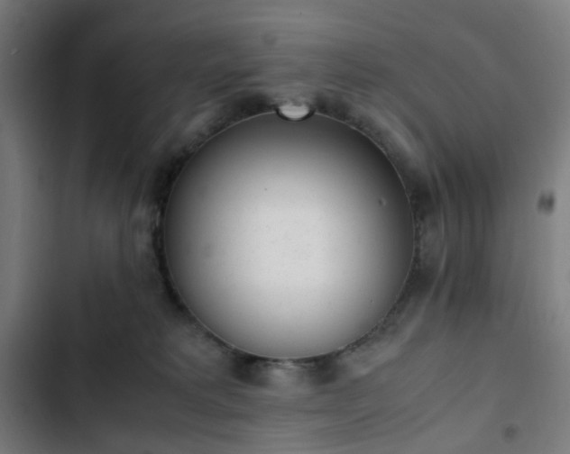 X0000103270229200809051515