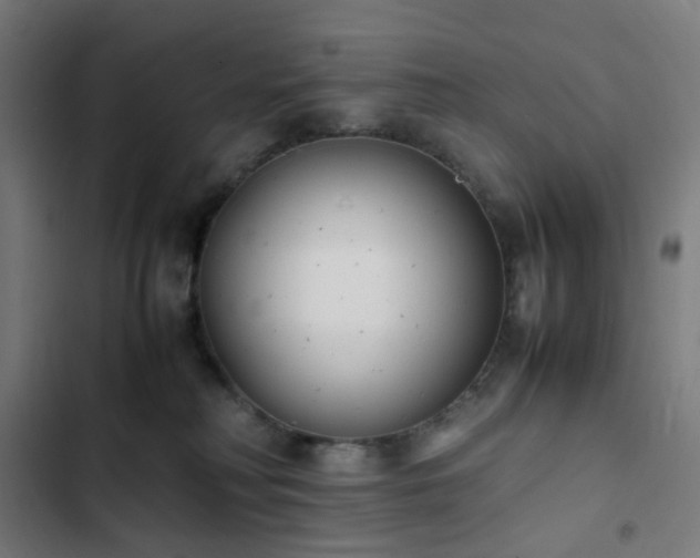 X0000103270230200809051515