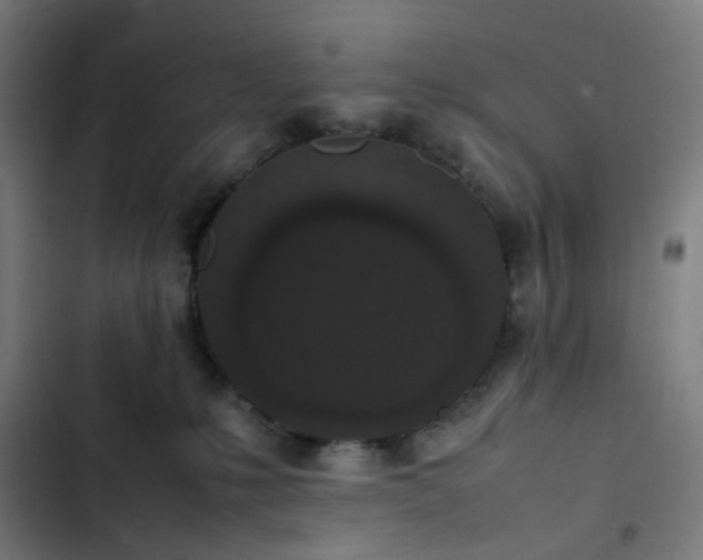 X0000103270231200809051515