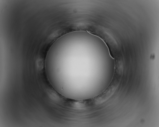 X0000103270232200809051515