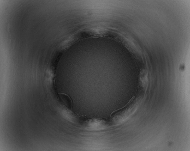 X0000103270235200809051515