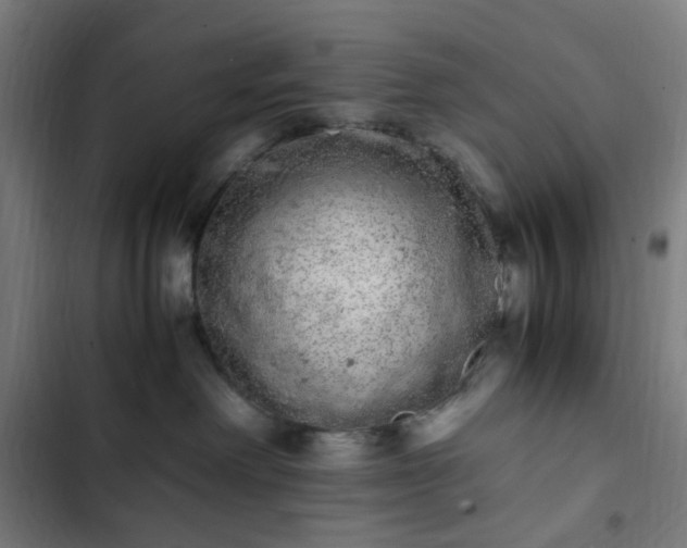 X0000103270238200809051515