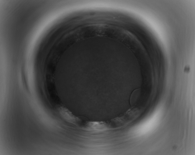 X0000103270239200809051515