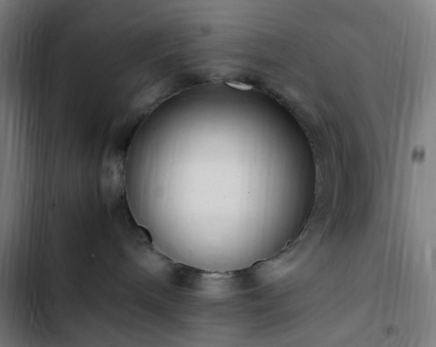 X0000103270240200809051515