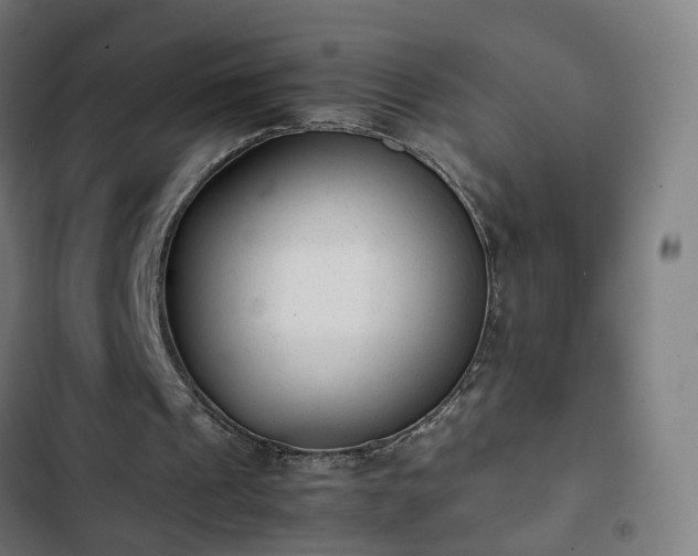 X0000103270241200809051514