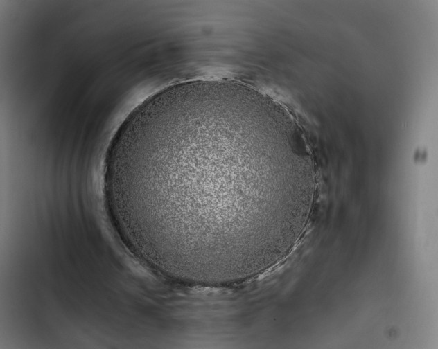 X0000103270242200809051514