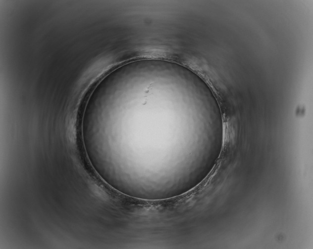 X0000103270243200809051514