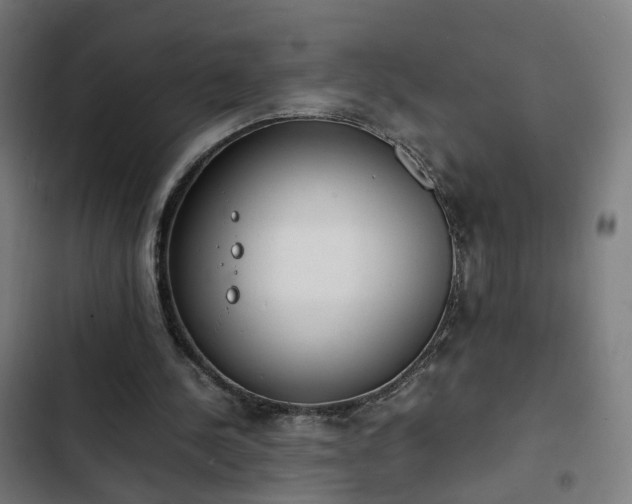 X0000103270244200809051514