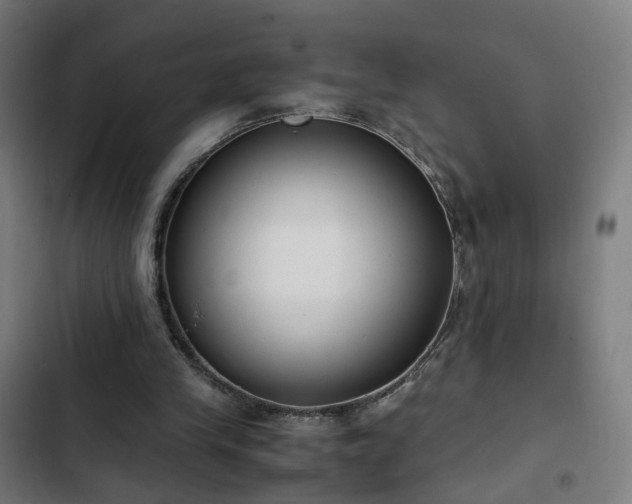 X0000103270245200809051514
