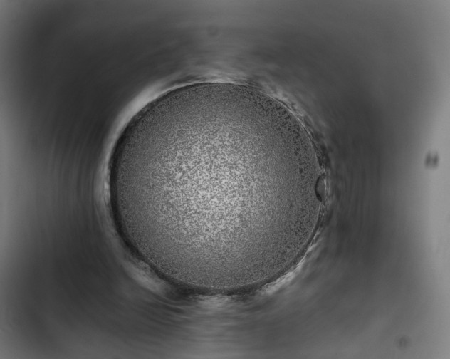 X0000103270246200809051514