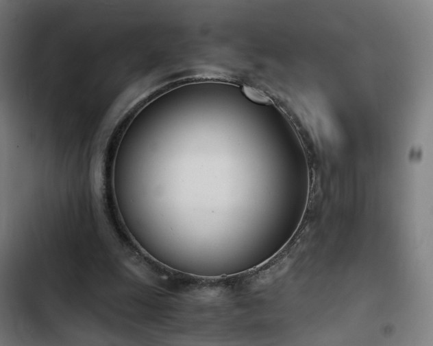 X0000103270247200809051514