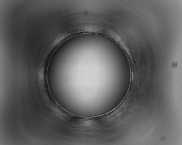 X0000103270249200809051514