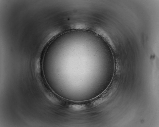 X0000103270251200809051514