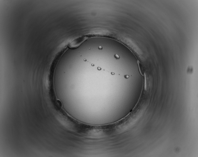 X0000103270252200809051514