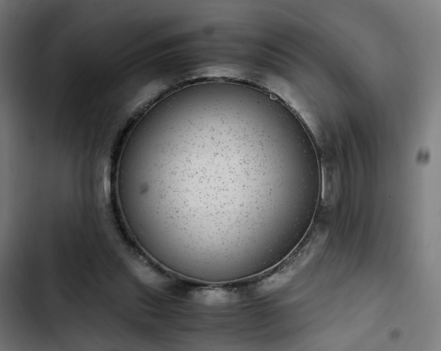 X0000103270253200809051514