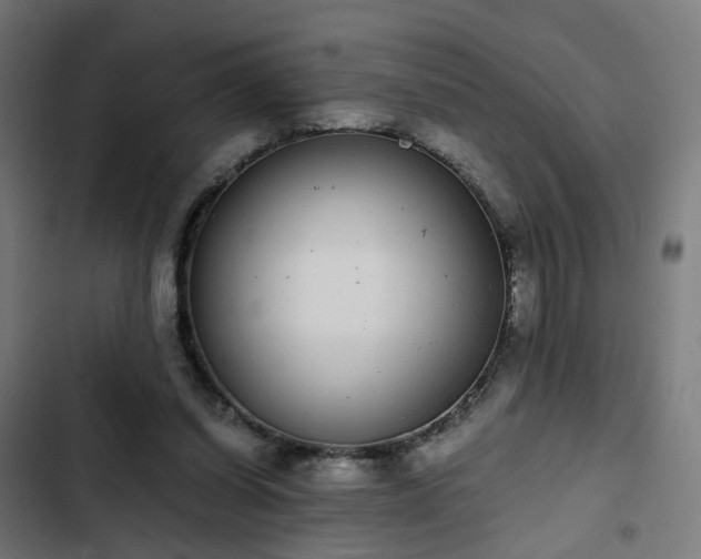 X0000103270254200809051514