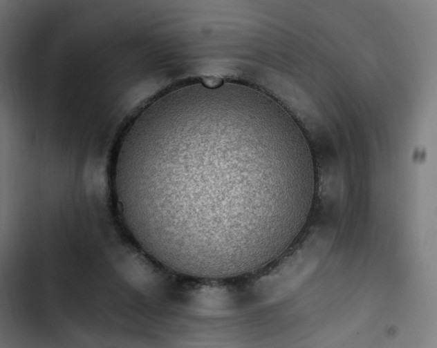 X0000103270256200809051514