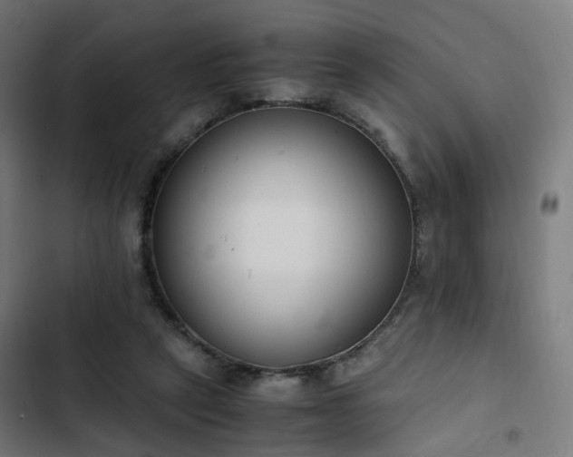 X0000103270257200809051514