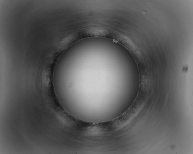 X0000103270259200809051514