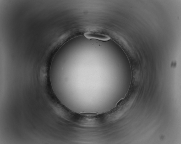 X0000103270260200809051514