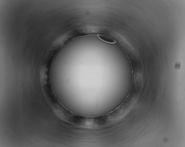 X0000103270264200809051514