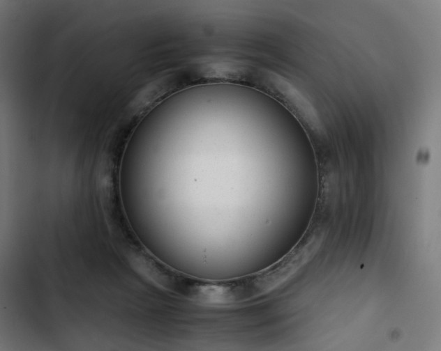 X0000103270265200809051514