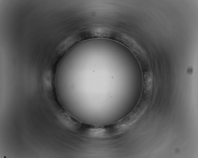 X0000103270266200809051514