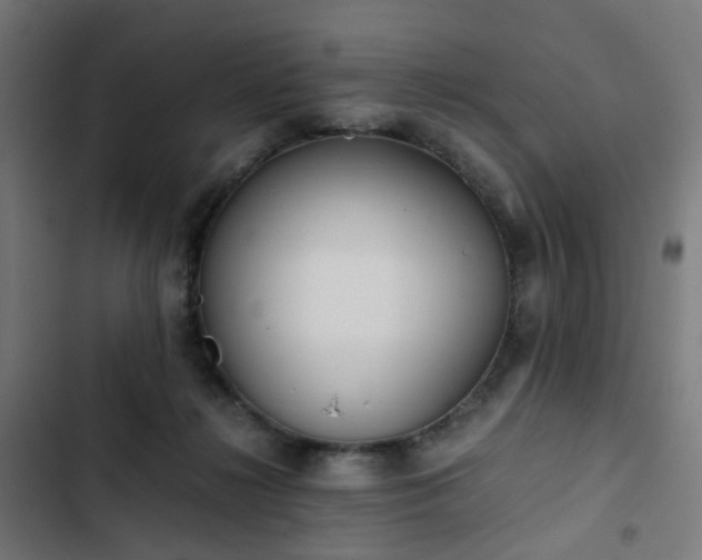 X0000103270268200809051514