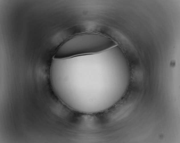 X0000103270272200809051514