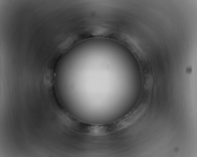 X0000103270273200809051514